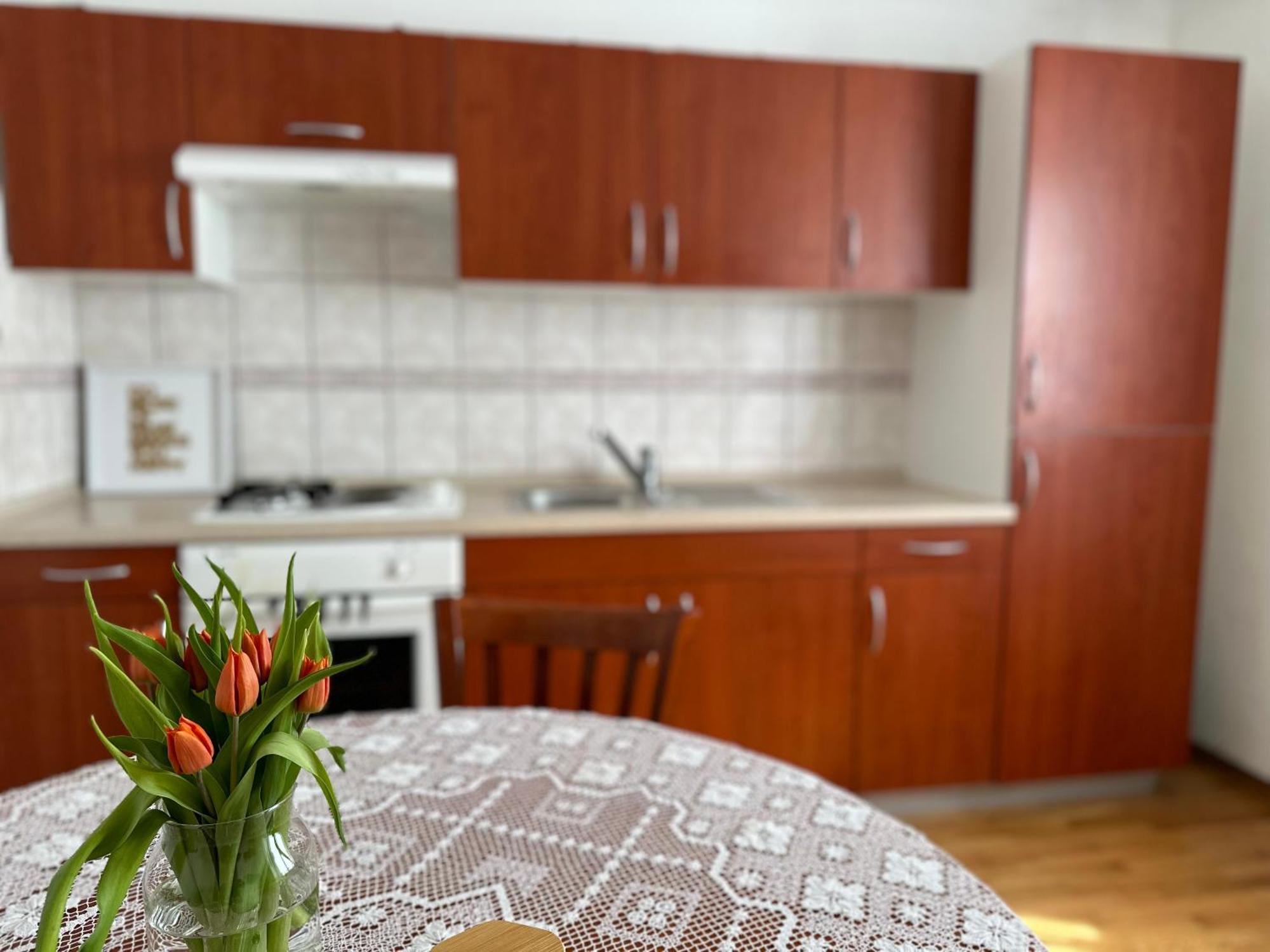 Sunny Hill Apartment Ilirska Bistrica Exteriér fotografie